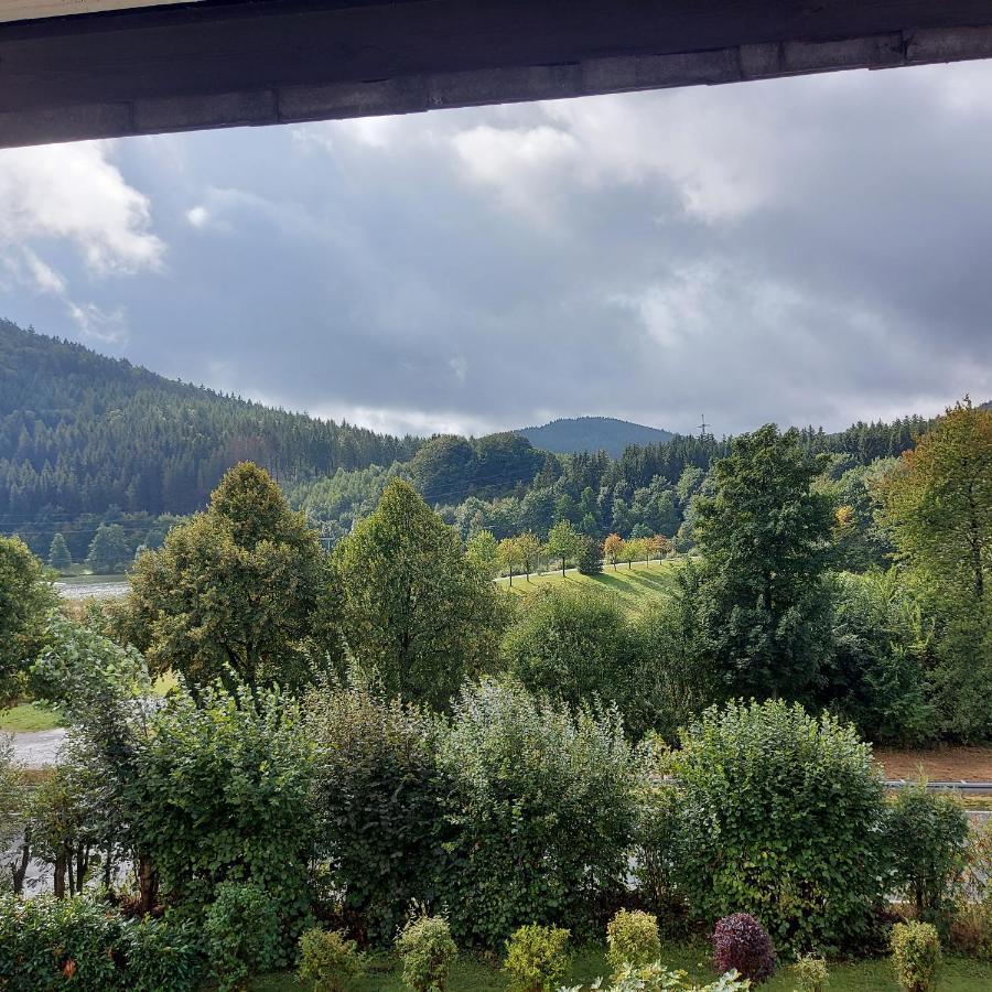 Ferienwohnung Am See Winterberg Exteriör bild