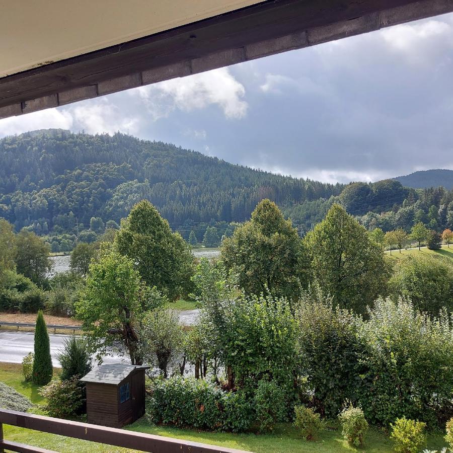 Ferienwohnung Am See Winterberg Exteriör bild