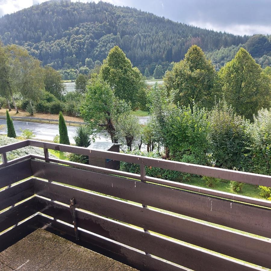 Ferienwohnung Am See Winterberg Exteriör bild